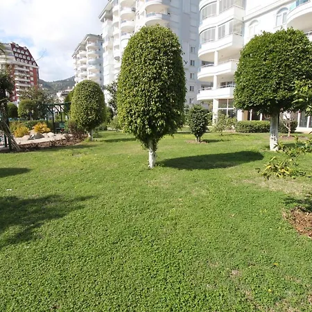 Panorama C I *